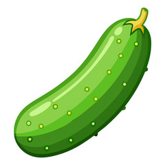 cucumber ,vector illustration white background