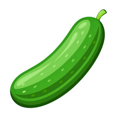 cucumber ,vector illustration white background