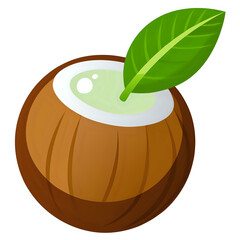 vector illustration of a coconut white background