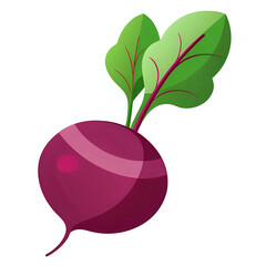 vector illustration red radish white background