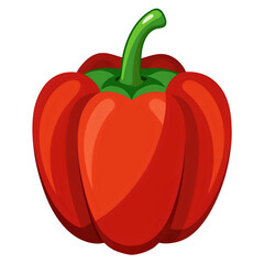 vector illustration red bell pepper white background