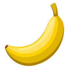 vector illustration banana white background