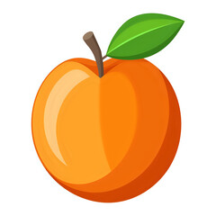 orange fruit vector illustration white background