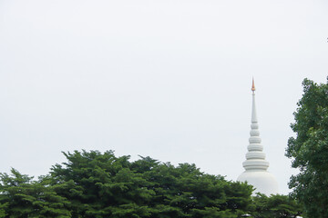 Tall White Stupa with Golden-Orange Spire Above Lush Green Trees