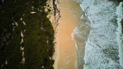 Drone footage of the beautiful East Coast in Australia