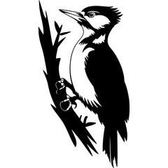 Abstract geometric shape silhouette isolated on white background