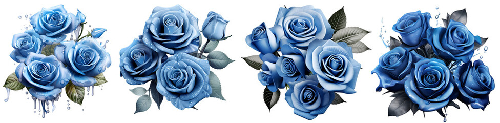 Set of blue roses in full bloom isolated on white background