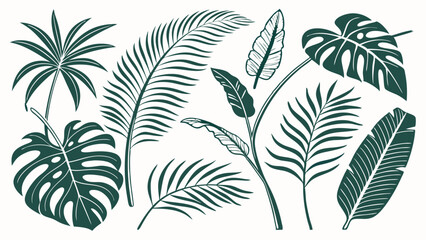 Fototapeta premium Green tropical leaves collection. Isolated palm, monstera, and exotic jungle foliage. Botanical nature elements for summer design.