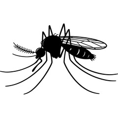 Black and white mosquito silhouette isolated on white background