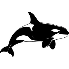 Obraz premium Black and white orca silhouette isolated on white background