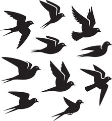 Vector Bird Collection – Clean Line Art of Birds in Various Poses