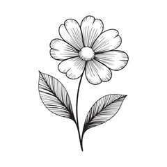 Fototapeta premium Monochrome Floral Elegance Delicate Daisy with Detailed Veined Leaves Artistic Botanical Illustration Intricate Line Work Black and White Flower Drawing Serene and Simple Natural Beauty