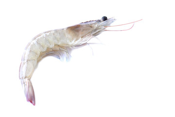  Fresh raw shrimp isolated on a clean white background, showcasing its natural texture and detail. Perfect for culinary use, seafood recipes, nutrition themes, and professional food content creation.