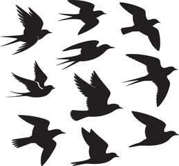 Obraz premium Collection of Flying Bird Silhouettes Isolated on White Background