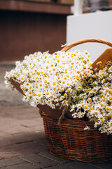 Bouquets of wild daisies in basket at outdoor market flower sale.