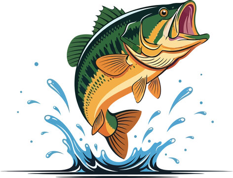 Illustration of a largemouth bass jumping out of the water with its mouth open wide view