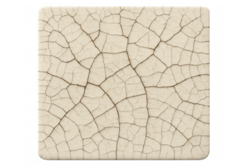 Weathered cracked surface revealing textural details against transparent backdrop, representing fragility and temporal transformation