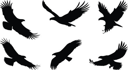 Set of Flying Eagle Silhouette Vector Illustrations