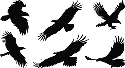 Black Silhouette of Eagles in Various Flying and Hunting Poses