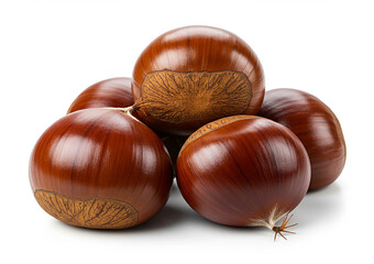 Obraz premium Professional quality chestnut images