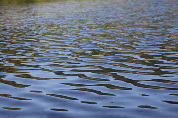 Fototapeta premium See