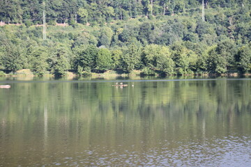 See