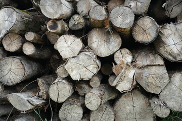 Close-up view of stacked weathered firewood logs in Codnor, Derbyshire, England.