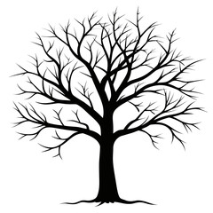 Obraz premium Black silhouette of a bare tree with intricate branches isolated on white background