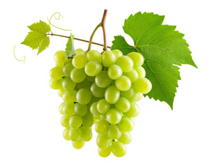 Bunch of Green Grapes with Vine and Leaf, Transparent Background”
