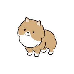 Dogs collection. Vector illustration of funny cartoon different breeds dogs in trendy flat style. Isolated on white.