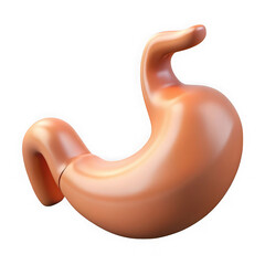 Realistic 3d illustration of the human stomach anatomy isolated on black background