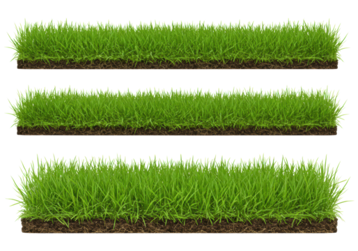 Three distinct horizontal strips of vibrant green untrimmed grass with visible brown soil, isolated on a transparent seamless studio background with bright, shadowless lighting, a pristine nature