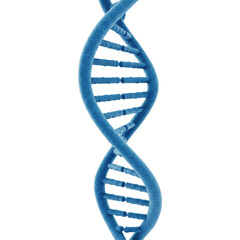 A detailed 3D rendering of a vibrant deep blue DNA double helix structure with textured surface, perfectly isolated on a transparent background with generous copy space, 3/4 view, studio lighting,