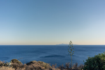 Sunset View of Aegean Sea from Cape Sounion, Greece &ndash; Agave americana and Coastal Vegetation