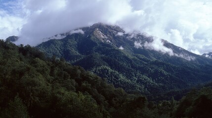 Fototapeta premium Panoramic views of mountains with dense forests and clouds rolling over peaks, showcasing rugged beauty, natural landscapes with lush greenery and misty summits under open skies.