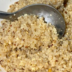 Close up detail of cooked quinoa with spoon highlighting nutritious texture and quality