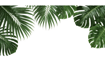Tropical paradise beckons with lush monstera and palm fronds framing a dark mysterious on...
