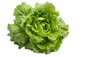 Top View of Fresh Green Lettuce Head