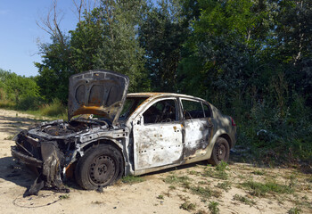 A charred car wreck, its hood open and interior gutted, sits abandoned on a dirt path beside a dense line of trees under a clear sky.