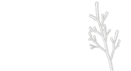 Fototapeta premium Bare tree branch illustration on white background