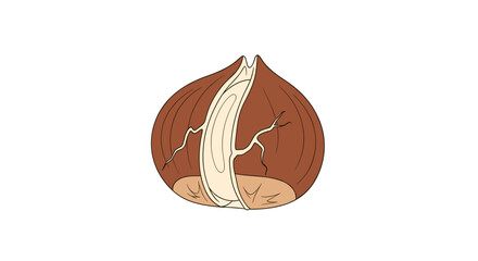 Obraz premium Cracked brown hazelnut illustration on white background