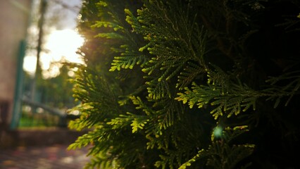 my personal works and photos in my free time