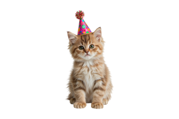Adorable kitten celebrating a birthday wearing a festive party hat and making cute eyes on a on transparent background
