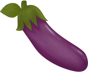 purple eggplant aubergine