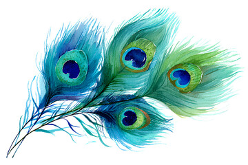 Obraz premium Watercolor Peacock Feathers Set Isolated on Transparent Background
