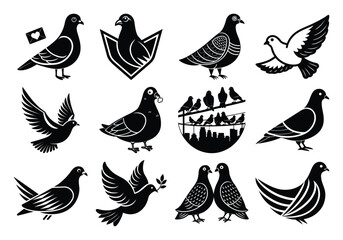 “Pigeon Vector Illustration Bundle | Cute, Minimalist & Modern Designs”
