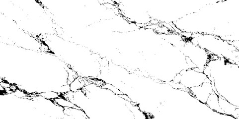 Elegant white marble texture featuring fine black veins with intricate, organic patterns. Ideal for modern backgrounds, luxury packaging, architectural surfaces, and sophisticated design projects.