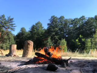 Campfire burns brightly in a serene forest setting