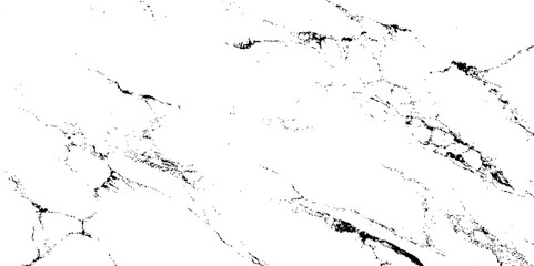 Elegant white marble texture featuring fine black veins with intricate, organic patterns. Ideal for modern backgrounds, luxury packaging, architectural surfaces, and sophisticated design projects.