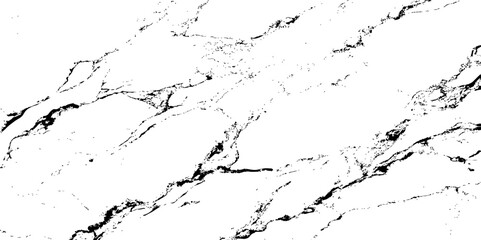 Naklejka premium Elegant white marble texture featuring fine black veins with intricate, organic patterns. Ideal for modern backgrounds, luxury packaging, architectural surfaces, and sophisticated design projects.